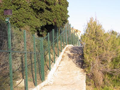  immagine 5