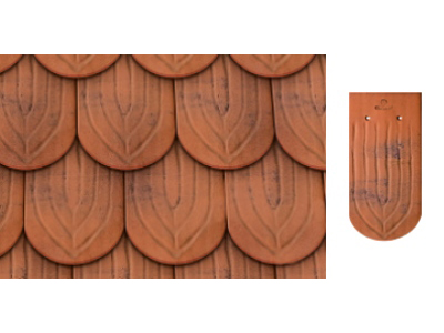 Tuiles plate photo 3