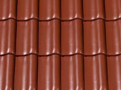 Tuiles flamandes HARMONIE photo 3