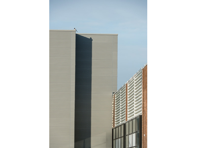 VMZINC Tôle nervurée photo 2